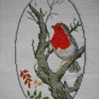 dessin rouge gorge002 - copie 2