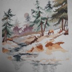 vue de foret DSCN0433 - copie